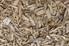 biomass boilers Woodland